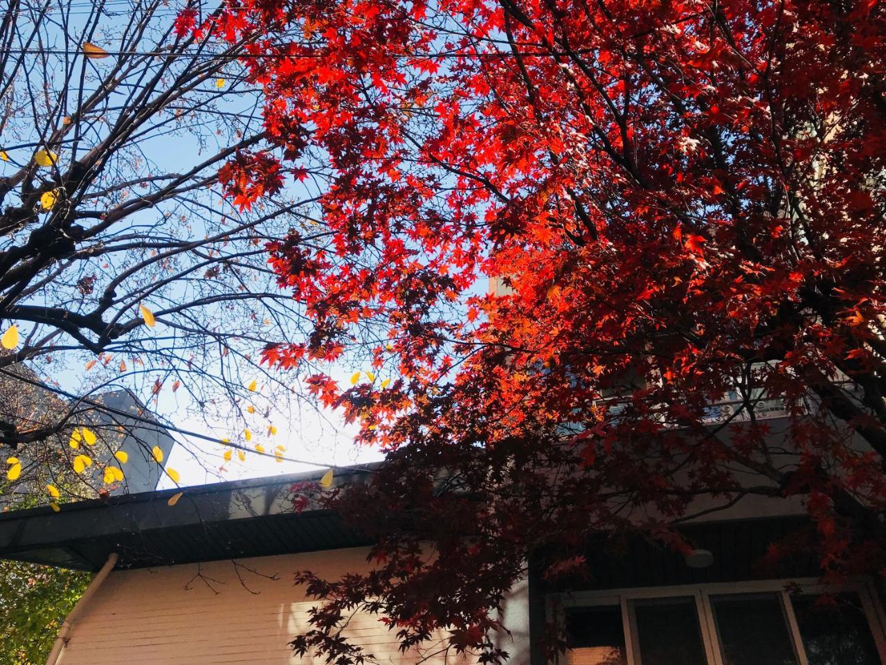 Naru Seoul